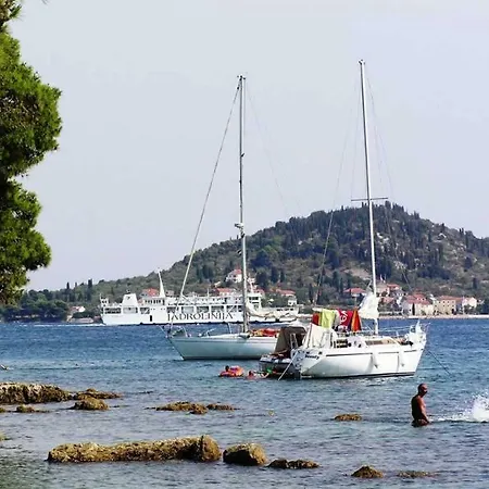 Εξοχικό σπίτι Family House Bacalja